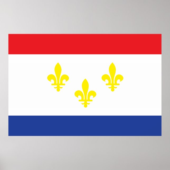 City of New Orleans flag Poster (Front)