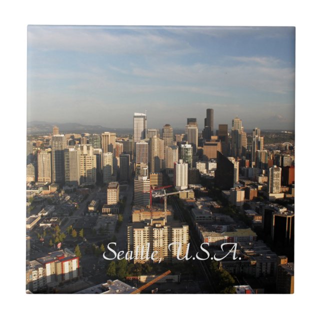 City of Seattle. View from city tower. Landscape Tile (Front)