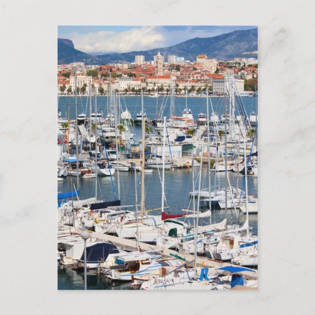 City of Split Marina in Croatia Postcard (Front)