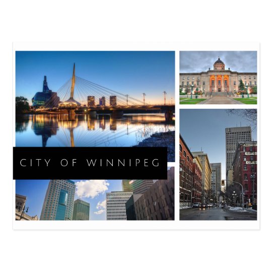 City of Winnipeg Postcard Zazzle.ca