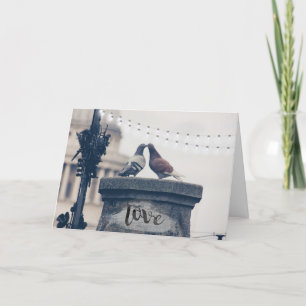 City Pigeons in Love Valentine's Day Holiday Card
