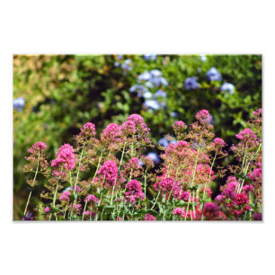 City Terrace Photo Print