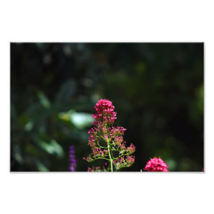 City Terrace Photo Print