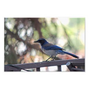 City Terrace Photo Print