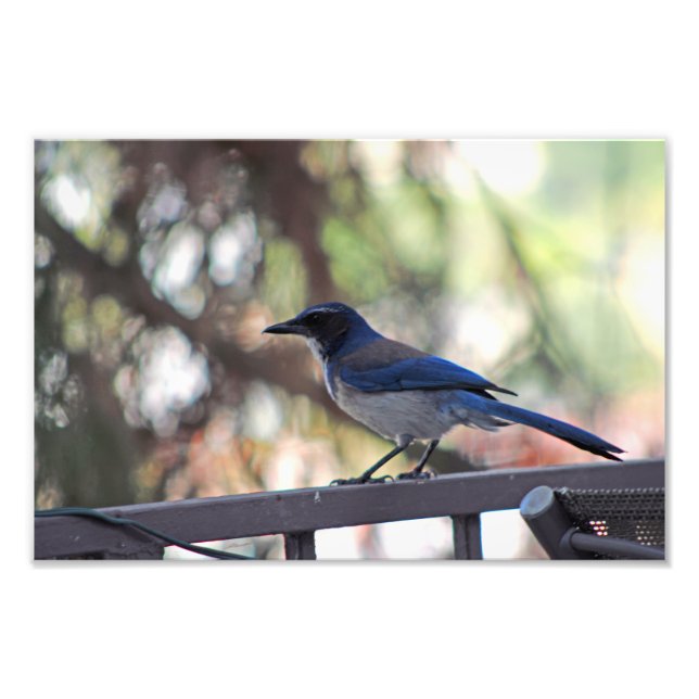 City Terrace Photo Print (Front)