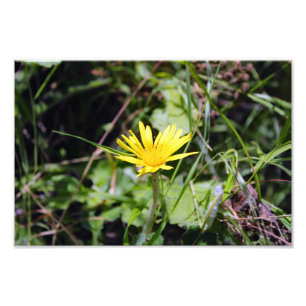 City Terrace Photo Print