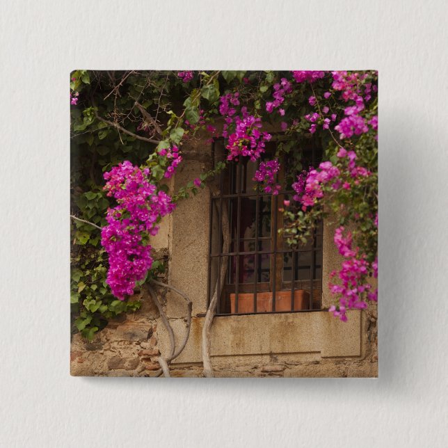Ciudad Monumental, flower-covered buildings 2 Inch Square Button (Front)