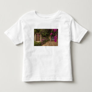 Ciudad Monumental, flower-covered buildings Toddler T-shirt