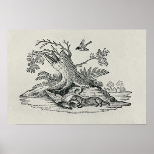 Civet with Cockerel from 'History of Quadrupeds' Poster