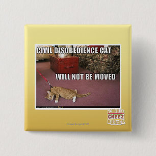 Civil Disobedience Cat 2 Inch Square Button