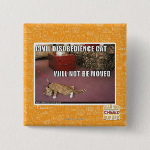 Civil Disobedience Cat 2 Inch Square Button