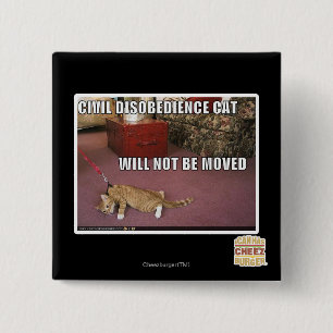 Civil Disobedience Cat 2 Inch Square Button