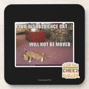 Civil Disobedience Cat Coaster