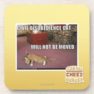 Civil Disobedience Cat Coaster