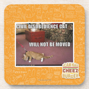 Civil Disobedience Cat Coaster