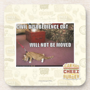 Civil Disobedience Cat Coaster