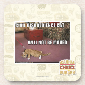 Civil Disobedience Cat Coaster