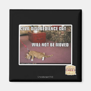 Civil Disobedience Cat Magnet