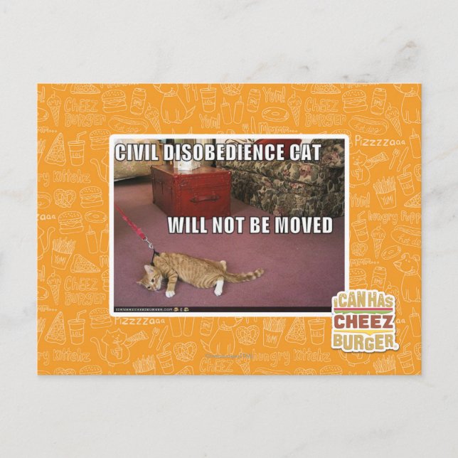 Civil Disobedience Cat Postcard (Front)