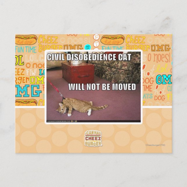Civil Disobedience Cat Postcard (Front)