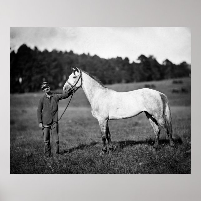 Civil War Horse, 1860s Poster (Front)