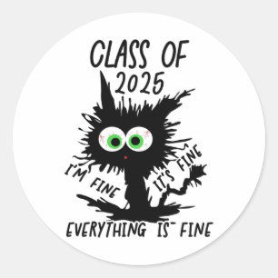 Cl Of 2025 Funny Black Cat  Classic Round Sticker