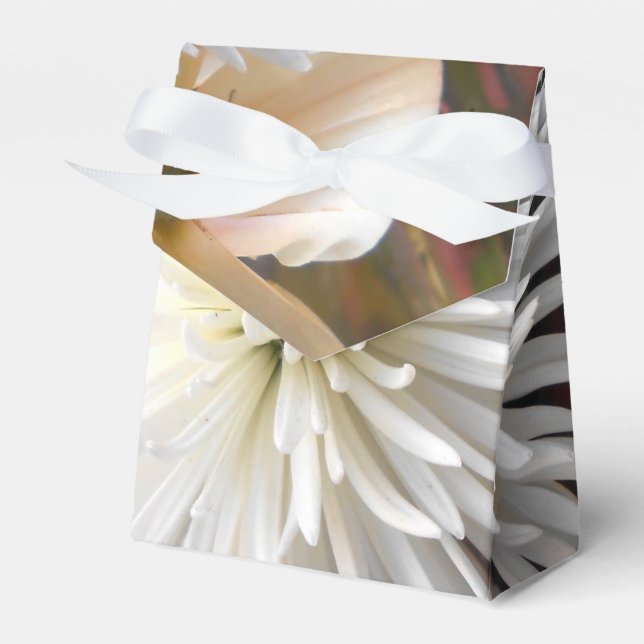 Claicia Favor Box (Front Side)