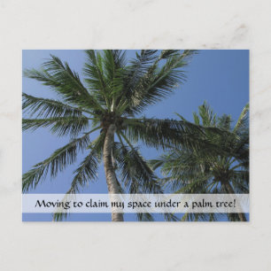 Claiming Space in Paradise on Postcard