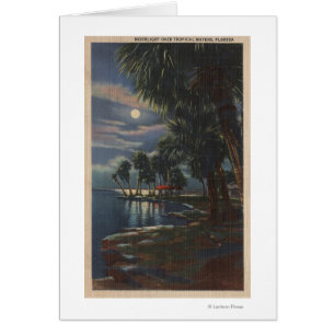 Clair de lune sur une Floride BeachFlorida
