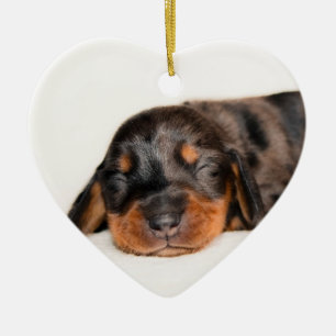 Claire Newborn-Lovebugdoxies puppy keepsake Ceramic Ornament