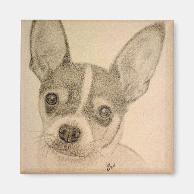 Claire the Teddy Roosevelt Terrier Magnet (Devant)
