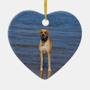 Clairherzchen Ceramic Ornament