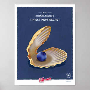 Clam Shell WBB Poster