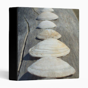 Clam Shells binder