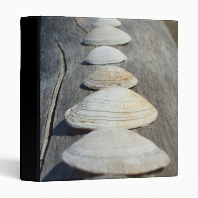 Clam Shells binder (Front/Spine)