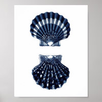 Clam Shells Navy Blue Beach Decor