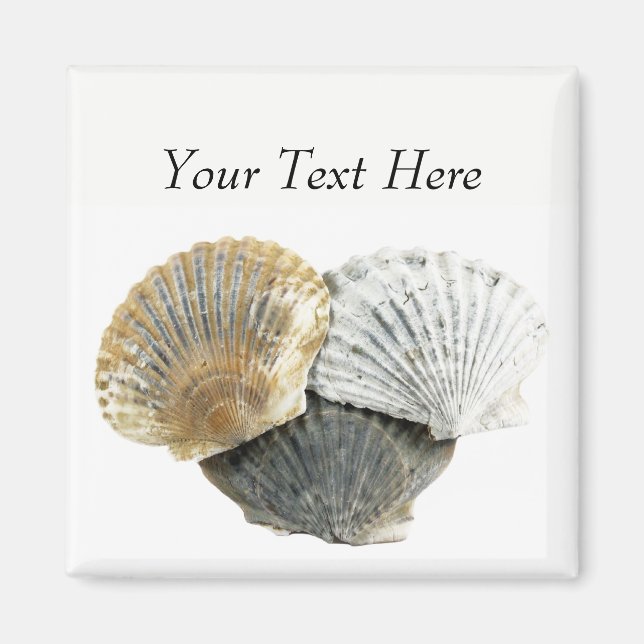 Clam Shells Personalized Magnets (Front)