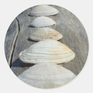 Clam Shells Stickers