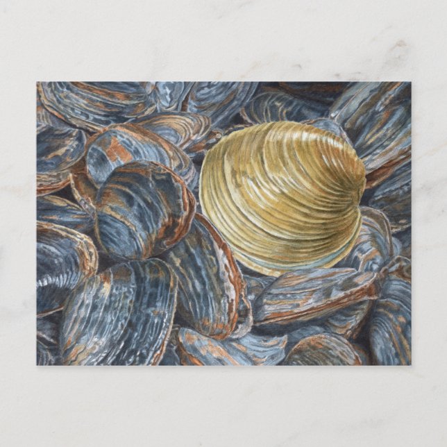 Clams and Quahog Art Postcard (Front)