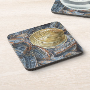 Clams and Quahog Shell Coaster