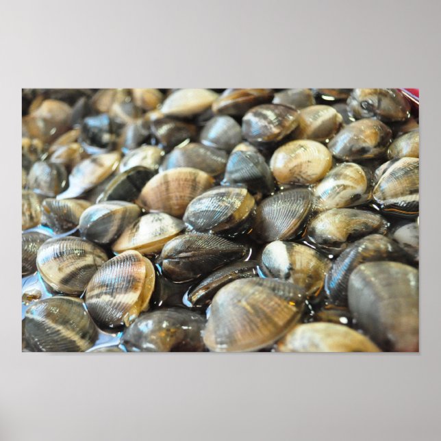 Clams - Up Close and Personal - High Definition Poster (Front)