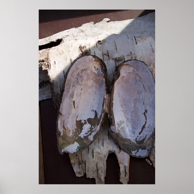 Clamshell Wings Poster (Front)