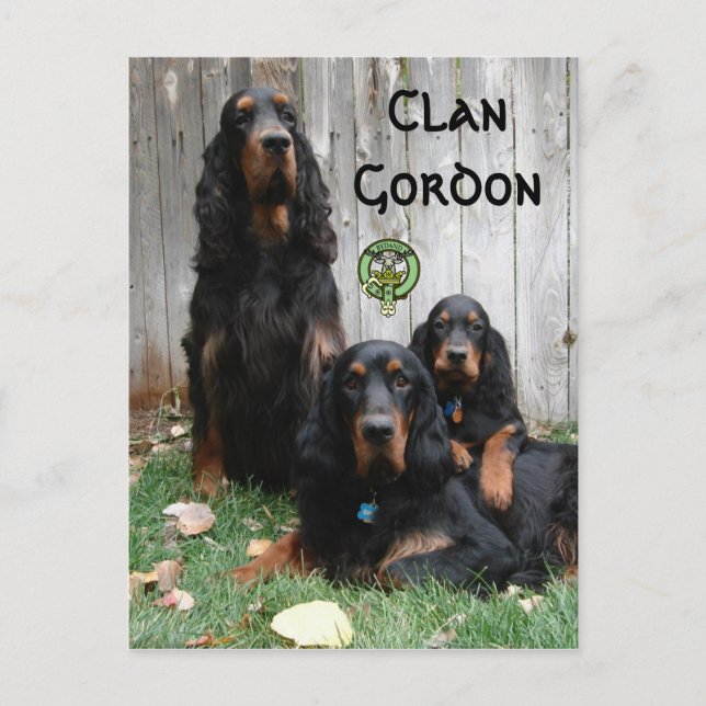 Clan Gordon, Gordon Setter Generations Postcard (Front)