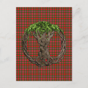 Clan MacAlister Tartan And Celtic Tree Of Life Postcard