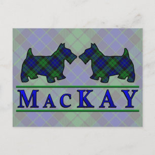 Clan MacKay Tartan Scottie Dogs Postcard