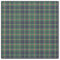 Clan Taylor Tartan