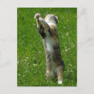 Clap you hands and stamp your feet postcard