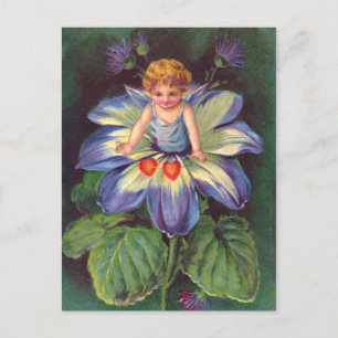 Clapsaddle: Flower Cherub Aster Postcard
