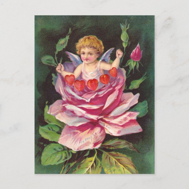 Clapsaddle: Flower Cherub Rose Postcard (Front)
