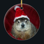 Clara Groundhog Ornament 2<br><div class="desc">Another ornament featuring the adorable Clara.  Photo from The Rodent Reader Quarterly magazine. www.rodentreader.com</div>